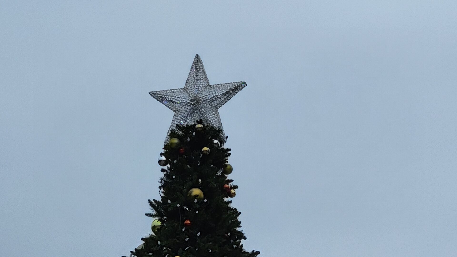 Tree star